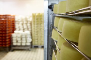 Cámara de maduración de Queso Tres Oscos en Grandas de Salime, Asturias